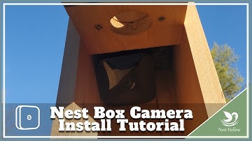 How to Install a Blink Camera In Your Nest Box/Birdhouse for Bird Monitoring