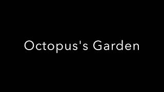 Octopus's Garden chords