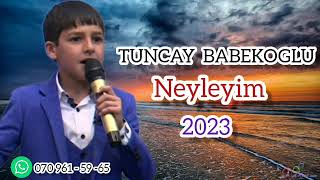 Tuncay Babekoglu Neyleyim 2023 Resimi