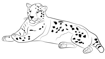 Jaguar Drawing Easy, How To Draw A Jaguar For Beginners Step By Step