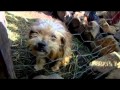 Cuestión de Química (documental)