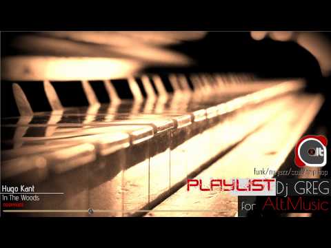 Hugo Kant -