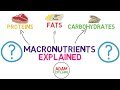 Macronutrients and Their Role in Human Nutrition