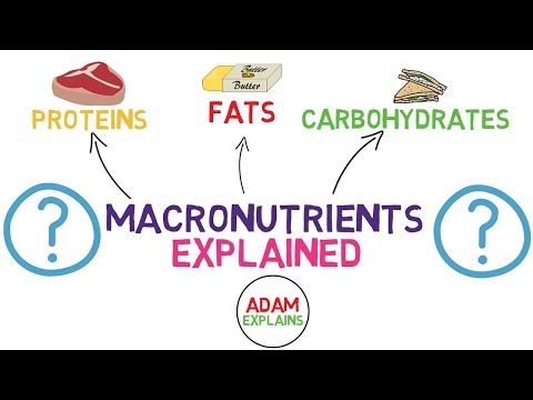 What Are Macronutrients? | Macros Explained