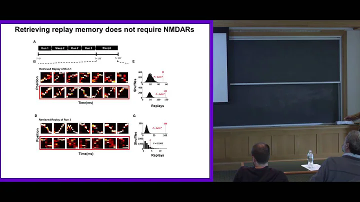 David Foster: Neuronal sequences in the hippocampus for memory and imagination
