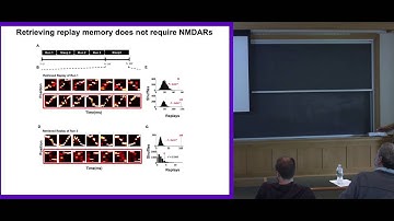 David Foster: Neuronal sequences in the hippocampus for memory and imagination
