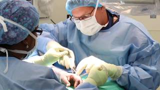Meet Dr.  Mark Burt | Wake Forest, North Carolina | EmergeOrtho
