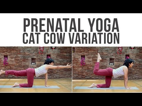 Pregnancy workout: Cat Cow variations for back - Prenatal Yoga