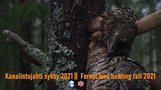 Kanalintujahti syksy 2021 ||  Forest bird hunting fall 2021