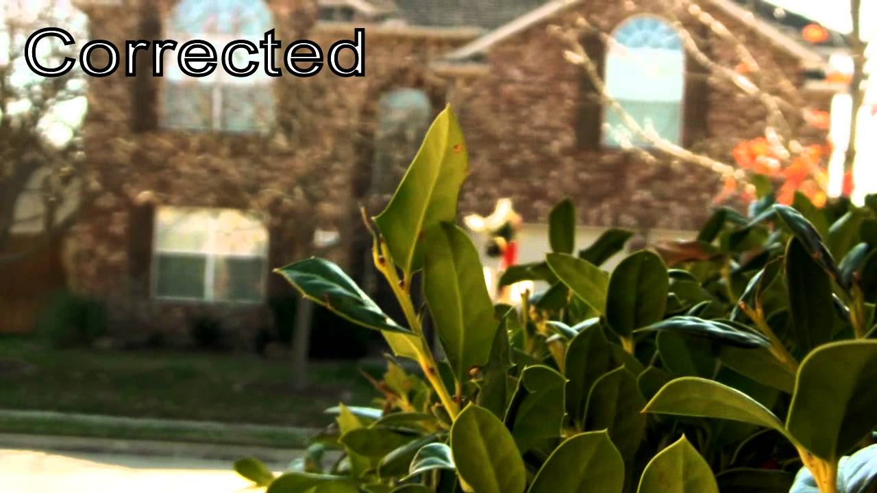 Canon Vixia HF M41 Color Correction