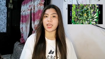 Mathematics in the Modern World (Activity 1)