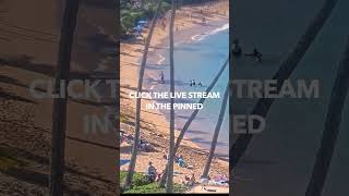 Napili Kai Beach Resort. Maui Hawaii