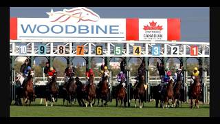 5t JULY 2026 WOODBINE CANADA HORSE RACES (Race 3 to 8) -FREE TIPS on SUNDAY