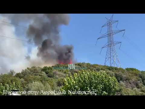 Nafpaktia news: Νέα μεγάλη  πυρκαγιά στην Αφροξυλιά Ναυπακτίας-Πλησιάζει σε σπίτια