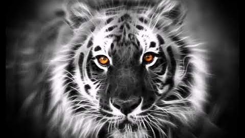Story Wa Macan Putih . Kejawen