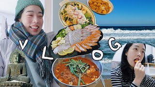 🌱273 Vlog I 수도 동파 I 카페 알바 I 양양에서 보낸 연말 I 속초 맛집 추천 I 김갈릭