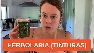 Cómo hacer un TINTURA (herbolaria)  guía completa