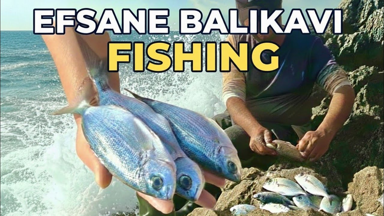 Bisküvi ile Melanur Balık Avı Hiç Bu kadar Kolay olmamıştı_Rock Fishing