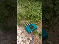 Alat Pertanian Pengusir Hama Monyet &amp; Hama Babi #shorts