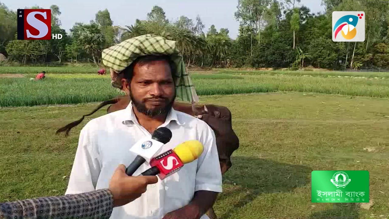 ফসলি জমিতে অবাদে চলছে পুকুর খনন ।। Channel S