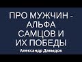 Про мужчин- альфа самцов и их победы