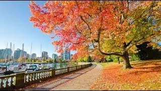 NỒNG NÀN SẮC THU CANADA