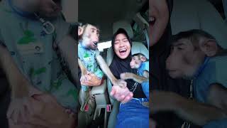 Koko is overthinking it 🫢😂 #shortvideo #short #monkey #funny