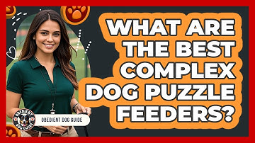 What Are The Best Complex Dog Puzzle Feeders? - Obedient Dog Guide