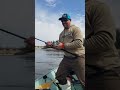 Double hookup the north american master angler 61 species  fishing sturgeon fishingtournament