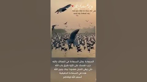 اجمل تلاوه خاشعه ستفيض عينك من الخشوع