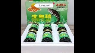 Sheng Yu Jing essence of Fish   Sari Pati Ikan Haruan Gabus Kutuk   6 Btl Box Kecil