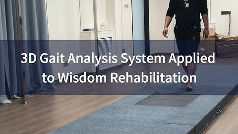 3D Gait Analysis System