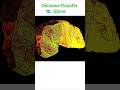 Okinawa Rosetta Stone (SEKIBAN 1) Abethehunter ( Abraham) depiction #nowars #loveyourneighbor