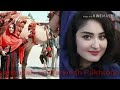 سید والی جانی خیل سید والی جانی خیل