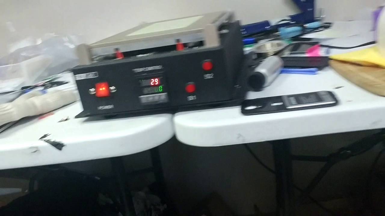 Sasha (mother) talking. She is having pomsky's