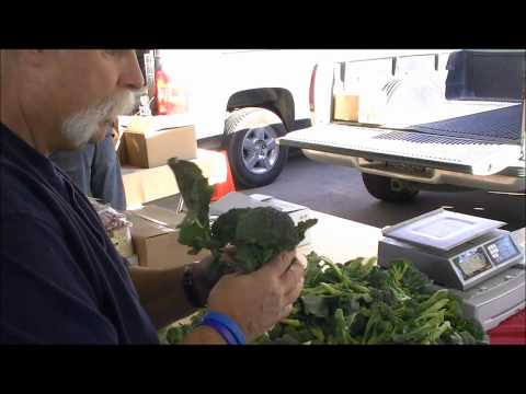 farmers-market-davis-california---juice-cleanse