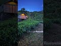 Do you need feel Heaven, Come & Feel #adventureawaits #adventuretravel #exploresrilanka