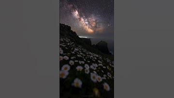 Wildflowers & The Milky Way Core ✨ #milkyway #timelapse #space