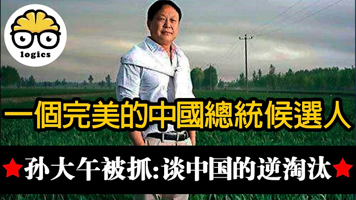 大午集团孙大午被抓，谈中国的逆淘汰现象：做良心企业家没有错，错的是生在中国 - 天天要闻