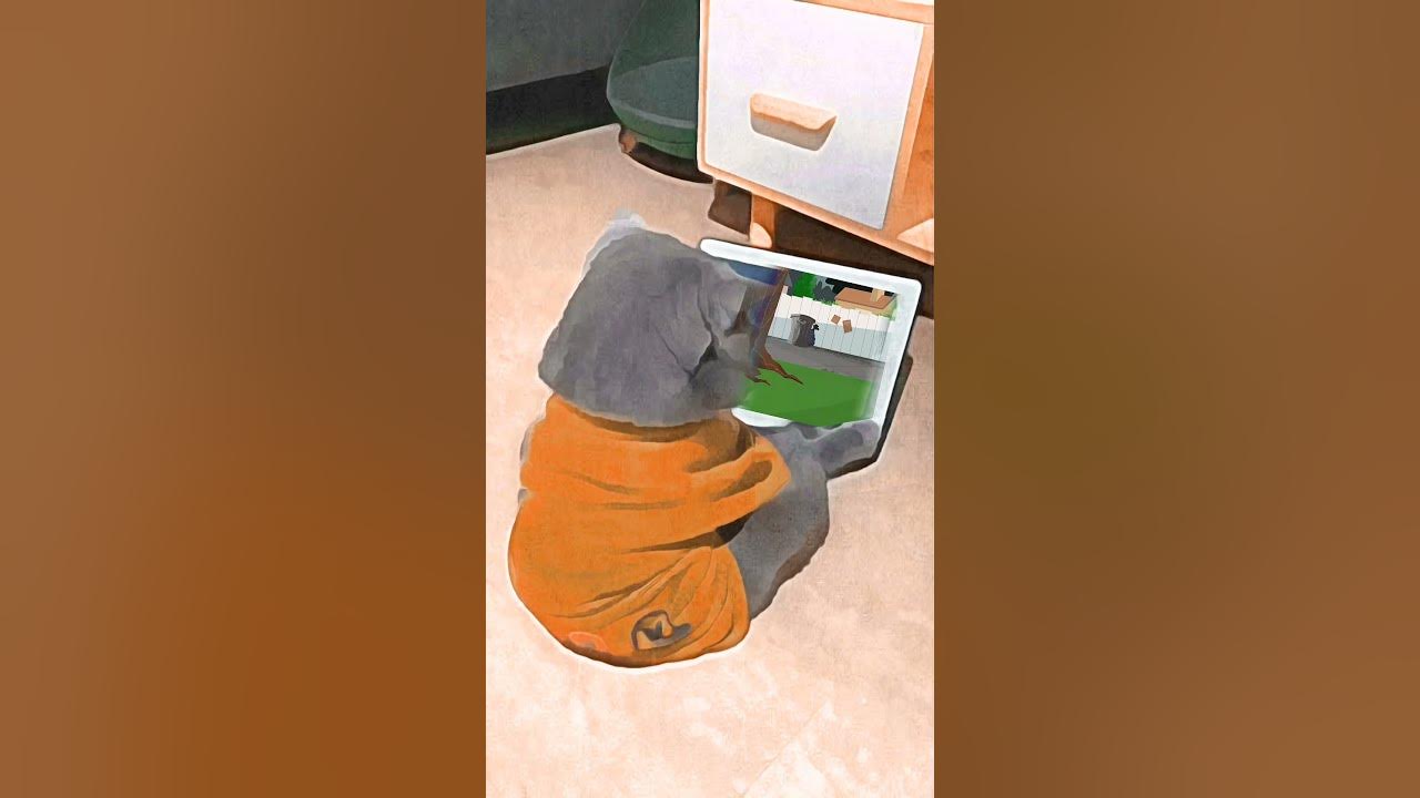 Kedi Tom ve Jerry izliyor Çizgi film Makarnagiller Cartoon cat