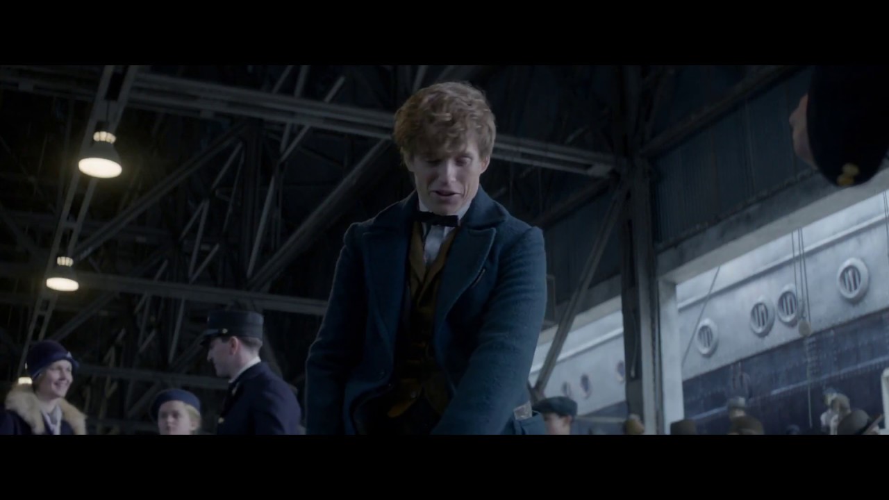 Fantastic Beasts and Where to Find Them Newt Scamander To New