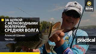 За щукой с мелководными воблерами. Средняя Волга. Часть 1. Anglers Practical.