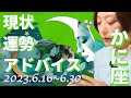 かに座さん6月16日から30日の運勢・アドバイス🍀*゜タロット占い