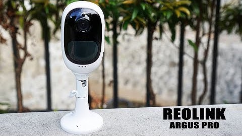 Reolink Argus Pro Review - Day Night Recordings