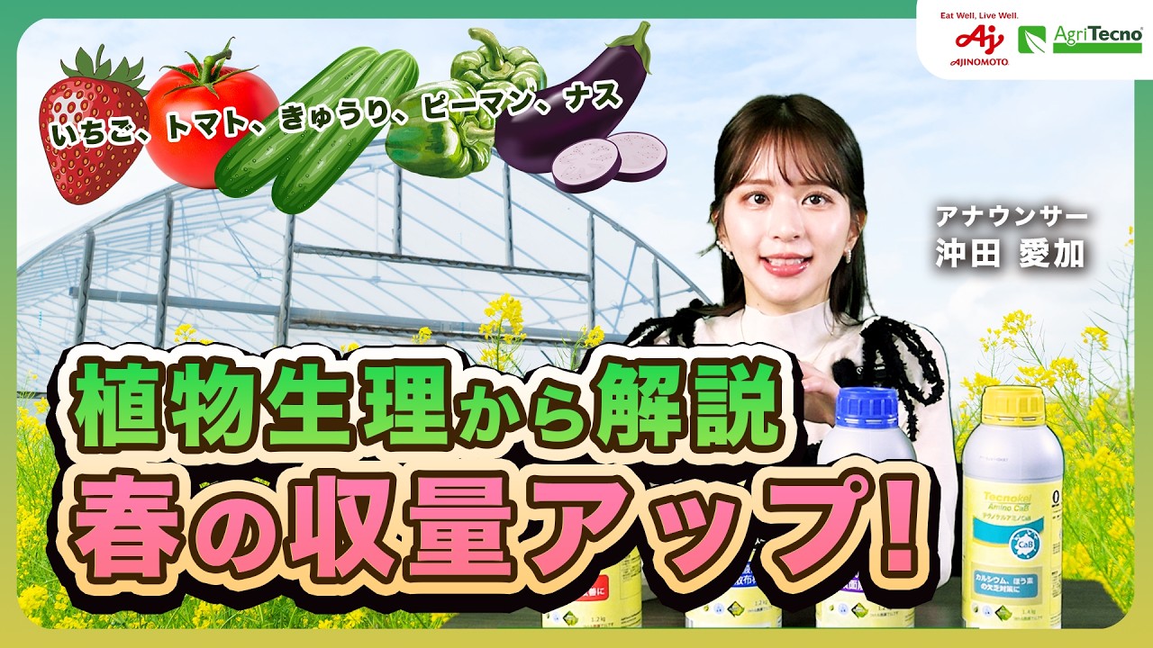 いちご、トマト、きゅうり、ピーマン　春の収量アップのポイントは光合成となり疲れ対策！その発生メカニズムを植物生理から解説