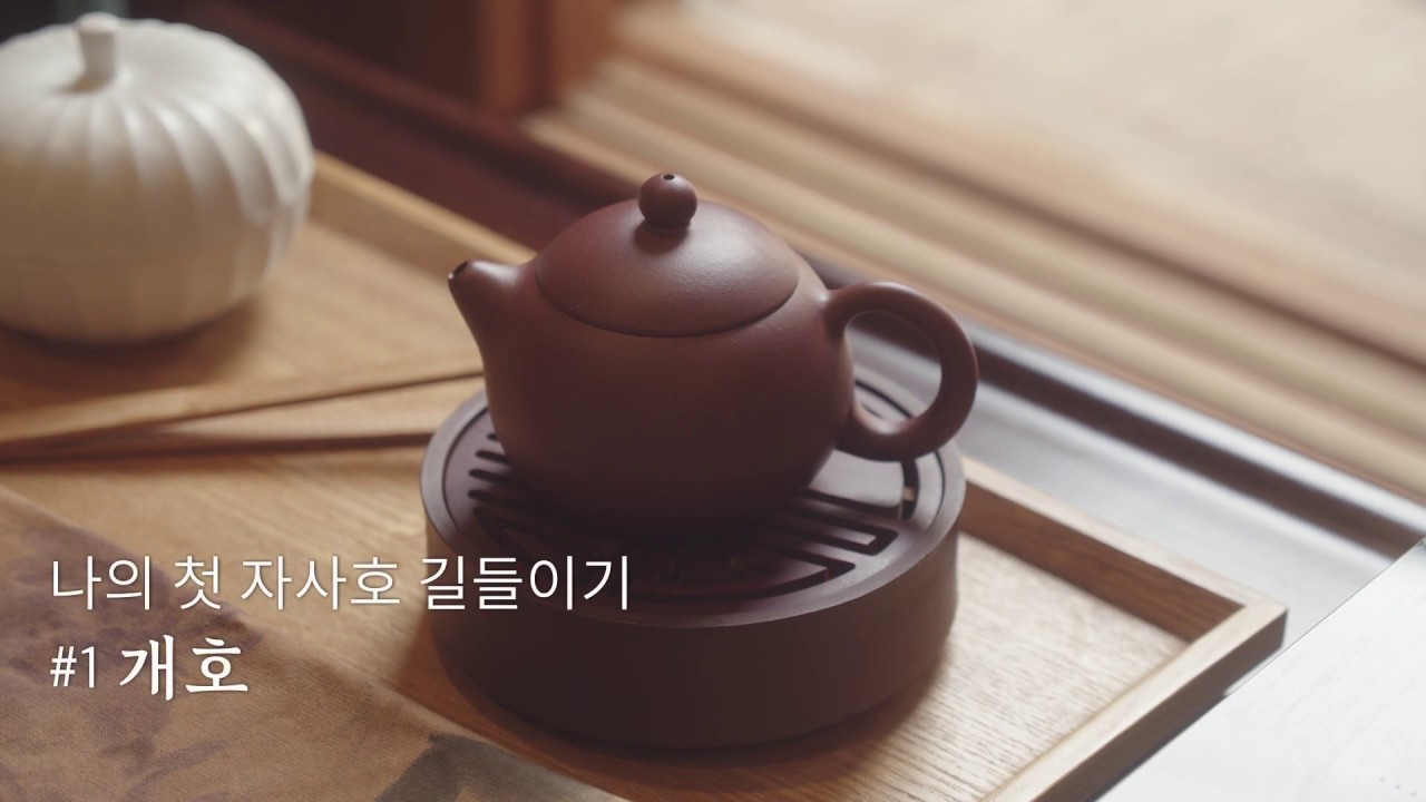 나의 첫 자사호 길들이기 #개호 편