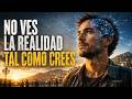 Tu Cerebro No Ve El Mundo… Lo Predice | Documental