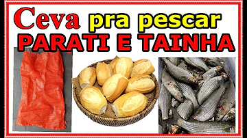 Como fazer ceva para pescar tainha?