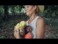 CHOCOLATE DOCUMENTARY: Cacao farmers in the Dominican Republic