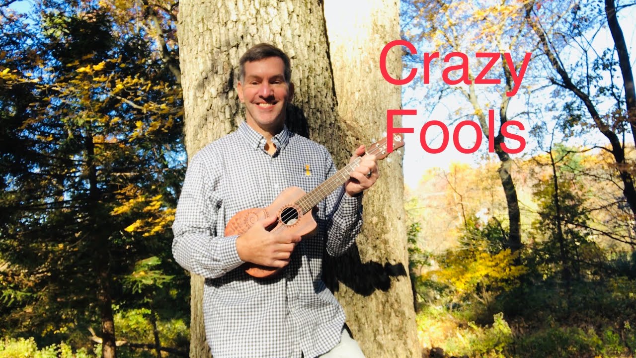 Crazy Fools Original Song by Judge Timbers YouTube